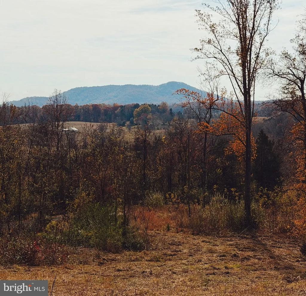 REVA, REVA, Virginia 22735, ,Land,REVA,VACU2013538 MLS # VACU2013538