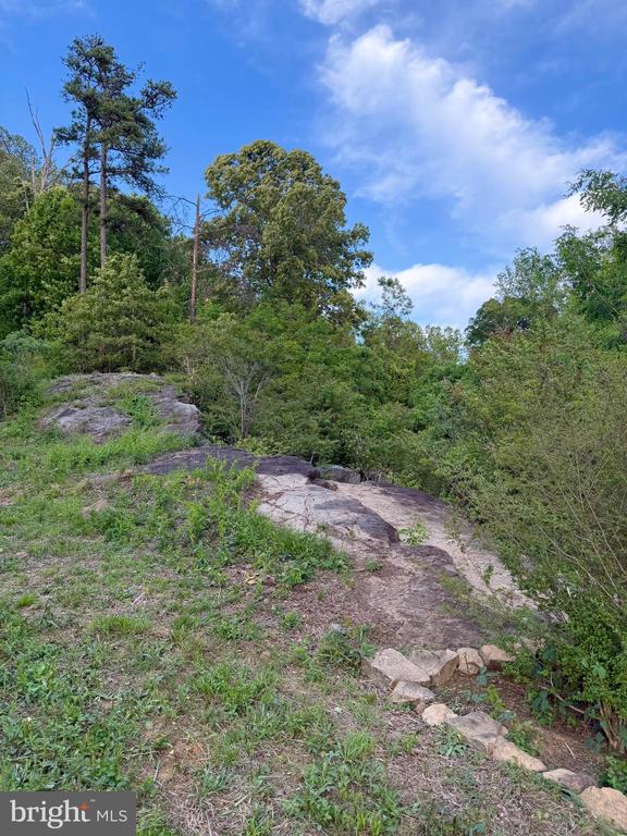 REVA, REVA, Virginia 22735, ,Land,REVA,VACU2013538 MLS # VACU2013538