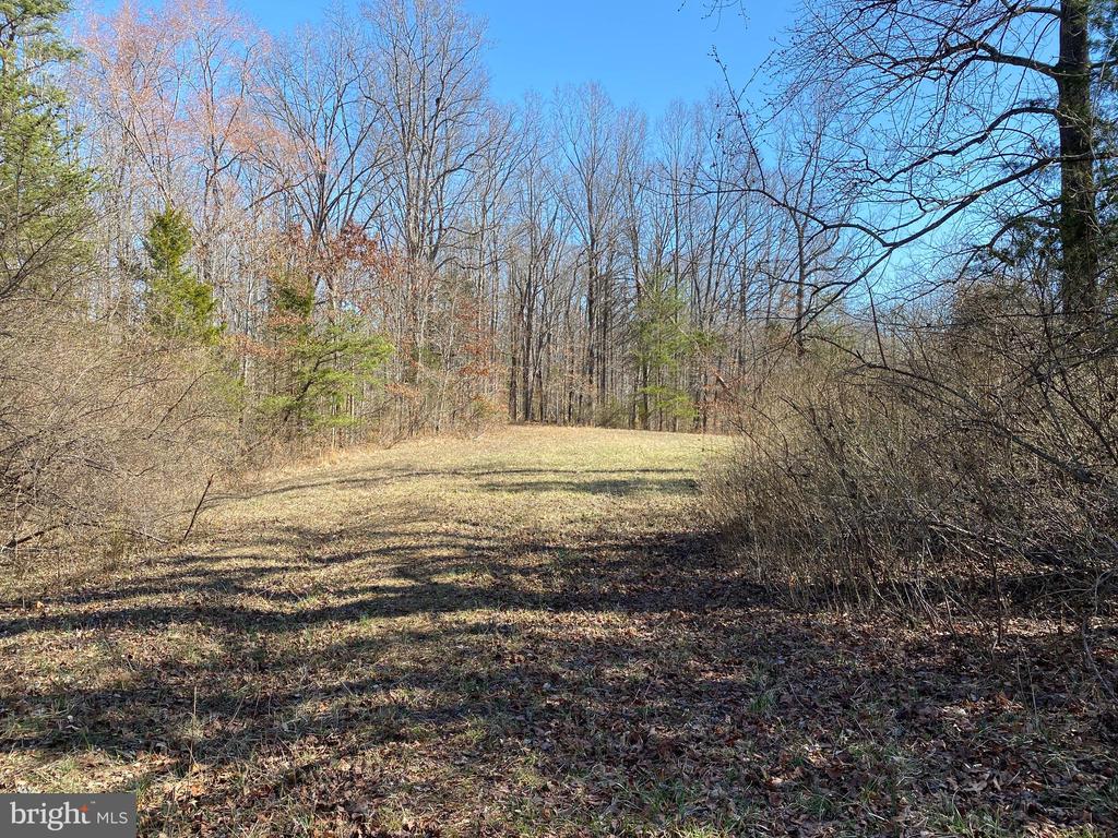 0 WHITES FARM LOT 2 DONLON, CULPEPER, Virginia 22701, ,Land,0 WHITES FARM LOT 2 DONLON,VACU2013576 MLS # VACU2013576