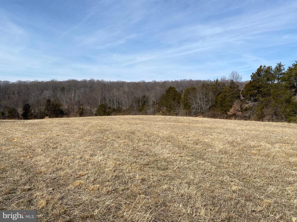 0 WHITES FARM LOT 2 DONLON, CULPEPER, Virginia 22701, ,Land,0 WHITES FARM LOT 2 DONLON,VACU2013576 MLS # VACU2013576