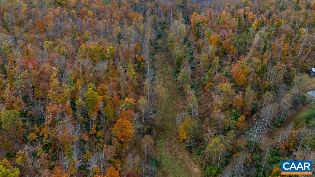 0 WILLOW BRANCH LN, FABER, Virginia 22938, ,Land,0 WILLOW BRANCH LN,676877 MLS # 676877
