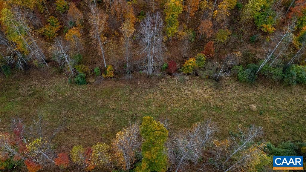 0 WILLOW BRANCH LN, FABER, Virginia 22938, ,Land,0 WILLOW BRANCH LN,676877 MLS # 676877