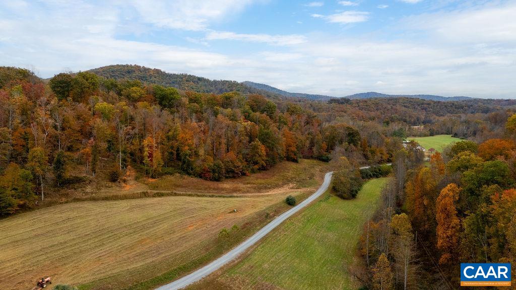 0 WILLOW BRANCH LN, FABER, Virginia 22938, ,Land,0 WILLOW BRANCH LN,676878 MLS # 676878