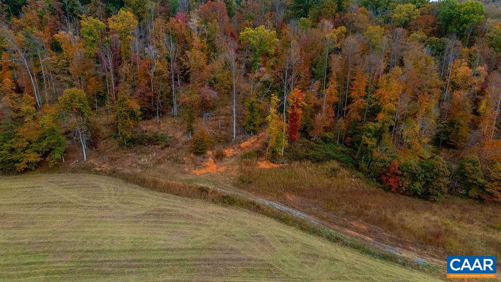 0 WILLOW BRANCH LN, FABER, Virginia 22938, ,Land,0 WILLOW BRANCH LN,676878 MLS # 676878