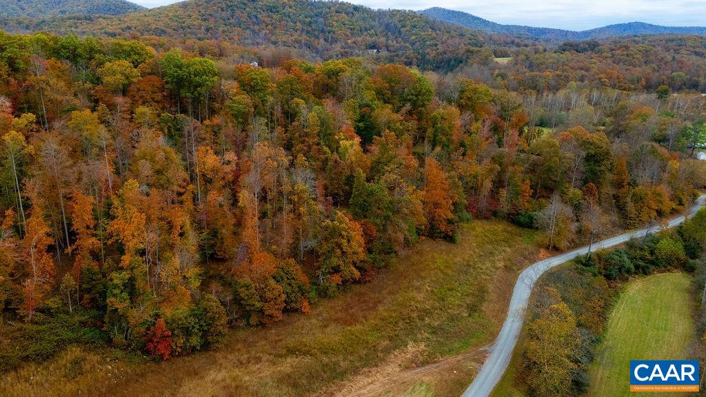 0 WILLOW BRANCH LN, FABER, Virginia 22938, ,Land,0 WILLOW BRANCH LN,676878 MLS # 676878