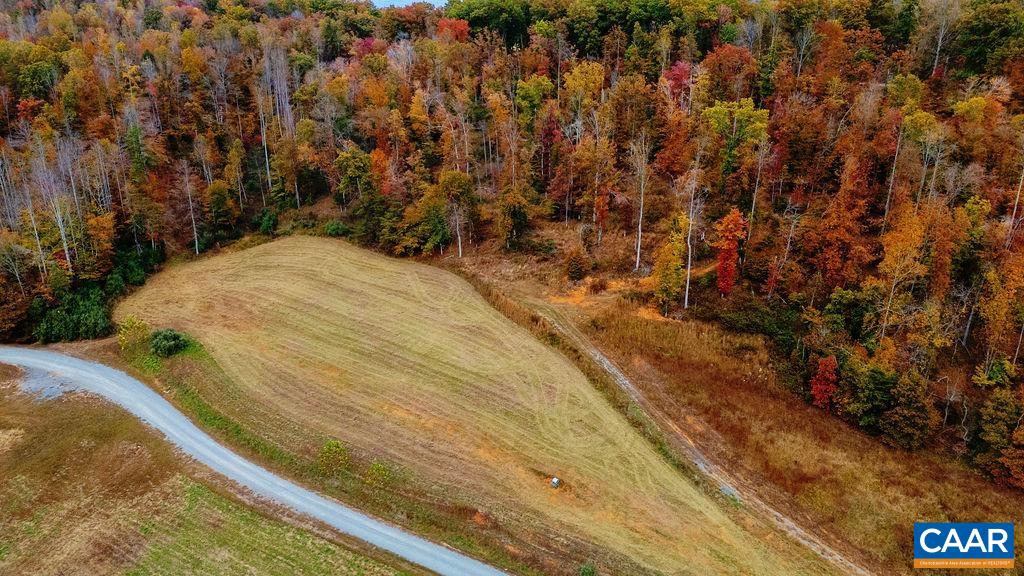0 WILLOW BRANCH LN, FABER, Virginia 22938, ,Land,0 WILLOW BRANCH LN,676878 MLS # 676878