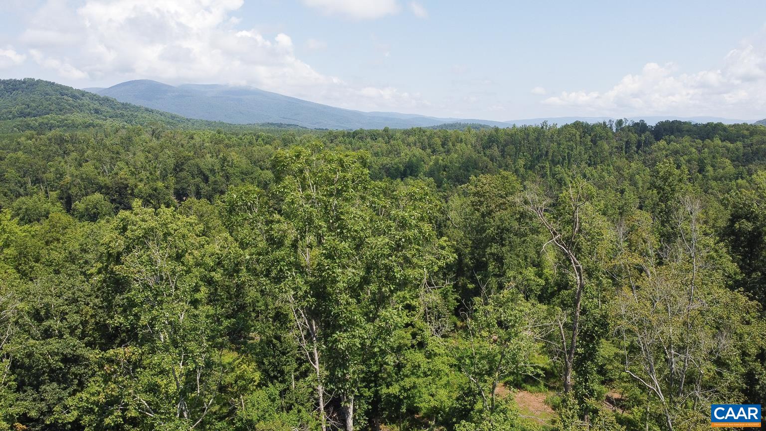 0 ADIAL RD, FABER, Virginia 22938, ,Land,0 ADIAL RD,676879 MLS # 676879