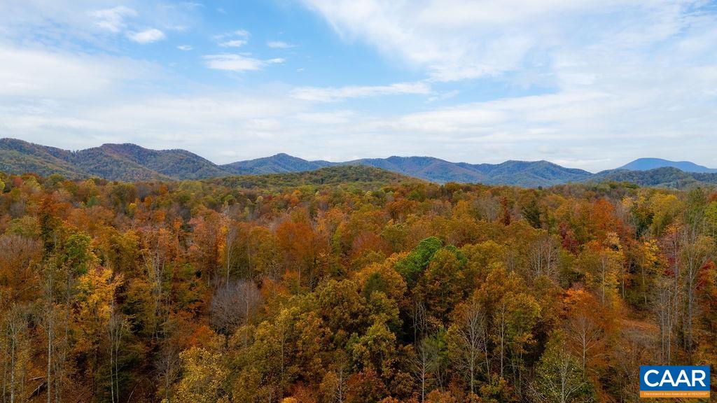 0 ADIAL RD, FABER, Virginia 22938, ,Land,0 ADIAL RD,676879 MLS # 676879