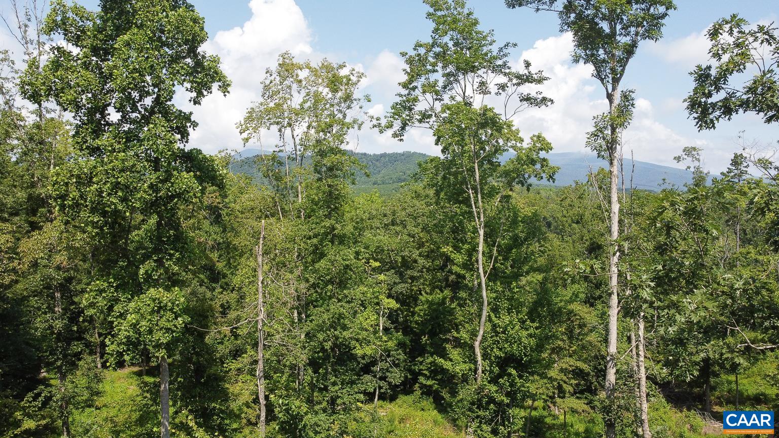 0 ADIAL RD, FABER, Virginia 22938, ,Land,0 ADIAL RD,676881 MLS # 676881