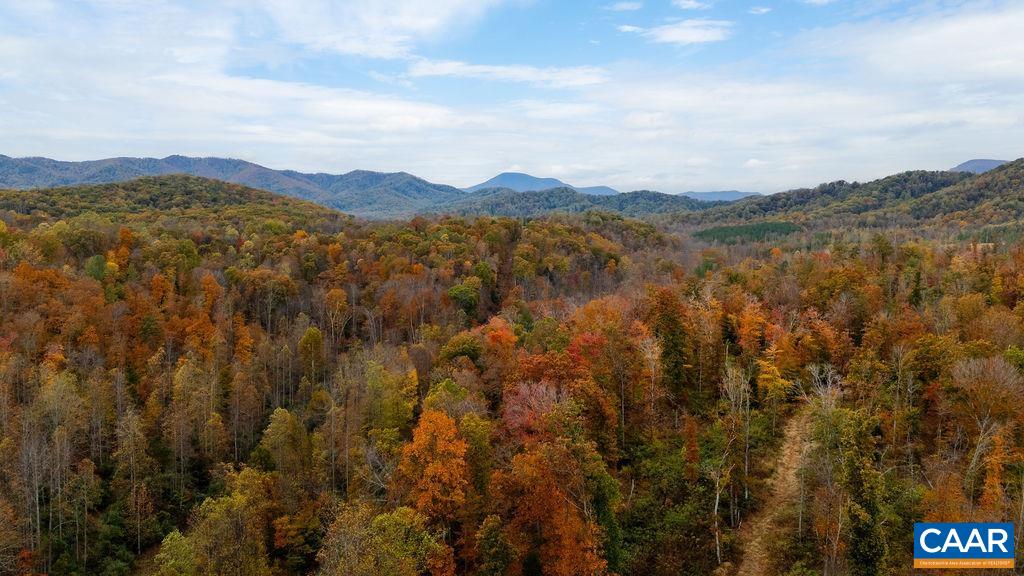 0 ADIAL RD, FABER, Virginia 22938, ,Land,0 ADIAL RD,676881 MLS # 676881