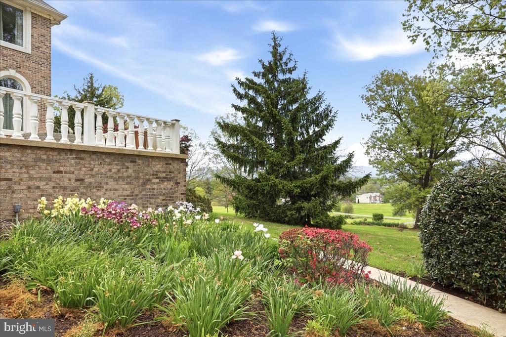 50 COTTAGE DR, LURAY, Virginia 22835, 5 Bedrooms Bedrooms, ,4 BathroomsBathrooms,Residential,50 COTTAGE DR,VAPA2006428 MLS # VAPA2006428 50 COTTAGE DR, LURAY, Virginia 22835, 5 Bedrooms Bedrooms, ,4 BathroomsBathrooms,Residential,50 COTTAGE DR,VAPA2006428 MLS # VAPA2006428