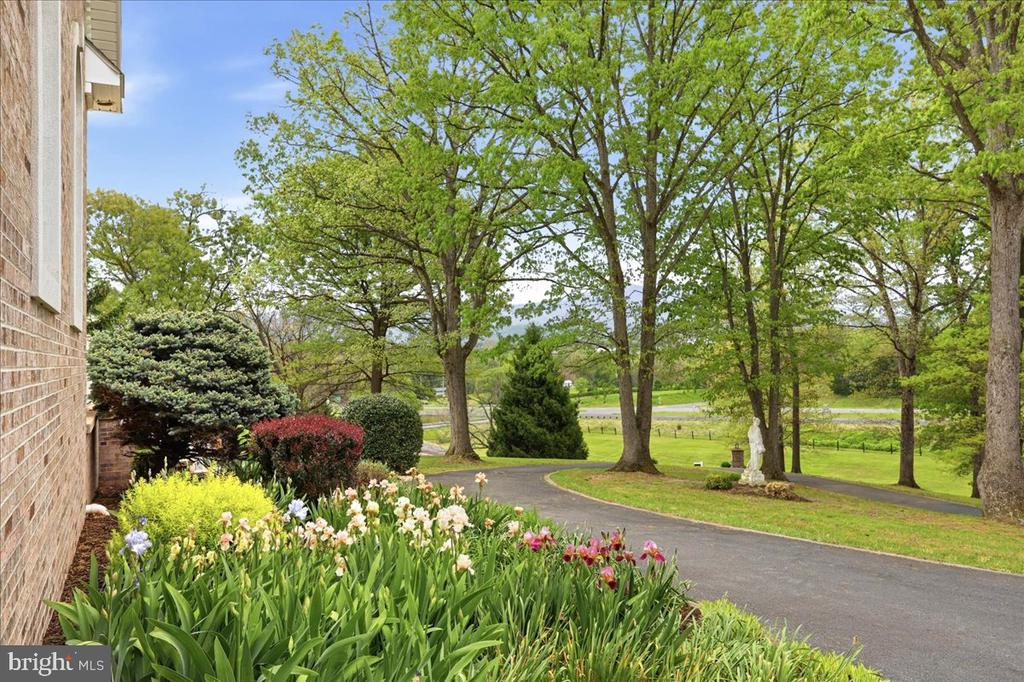50 COTTAGE DR, LURAY, Virginia 22835, 5 Bedrooms Bedrooms, ,4 BathroomsBathrooms,Residential,50 COTTAGE DR,VAPA2006428 MLS # VAPA2006428 50 COTTAGE DR, LURAY, Virginia 22835, 5 Bedrooms Bedrooms, ,4 BathroomsBathrooms,Residential,50 COTTAGE DR,VAPA2006428 MLS # VAPA2006428