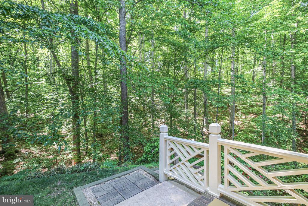 10102 BLANDFIELD LN, FREDERICKSBURG, Virginia 22408, 4 Bedrooms Bedrooms, ,4 BathroomsBathrooms,Residential,THE GREENS AT LEE'S HILL,10102 BLANDFIELD LN,VASP2041608 MLS # VASP2041608