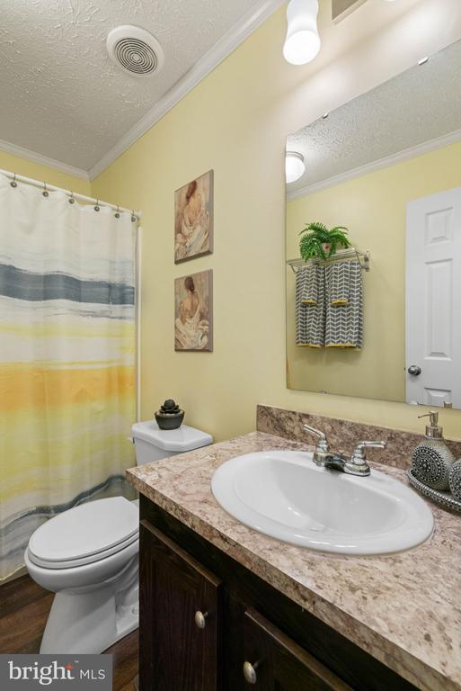 165 PARK RUN, MINERAL, Virginia 23117, 3 Bedrooms Bedrooms, ,2 BathroomsBathrooms,Residential,165 PARK RUN,VALA2009822 MLS # VALA2009822 165 PARK RUN, MINERAL, Virginia 23117, 3 Bedrooms Bedrooms, ,2 BathroomsBathrooms,Residential,165 PARK RUN,VALA2009822 MLS # VALA2009822