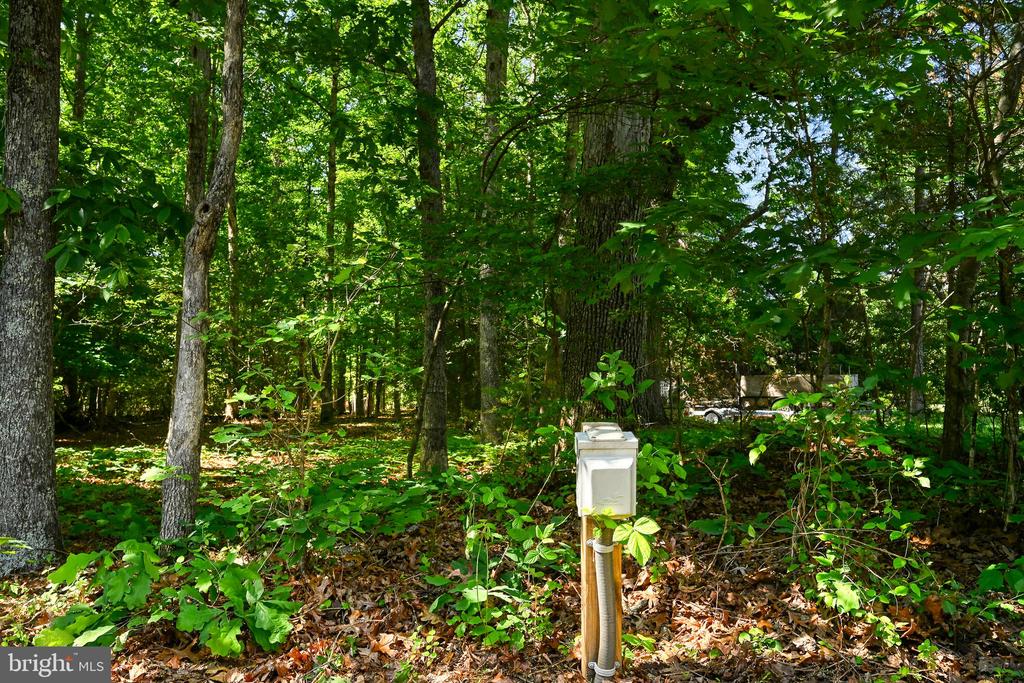 418 WINDWOOD COVES BLVD, MINERAL, Virginia 23117, 3 Bedrooms Bedrooms, ,2 BathroomsBathrooms,Residential,418 WINDWOOD COVES BLVD,VALA2009838 MLS # VALA2009838