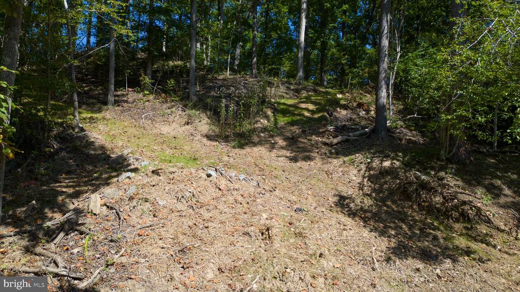 1242 N LAKESHORE DR, LOUISA, Virginia 23093, ,Land,1242 N LAKESHORE DR,VALA2009846 MLS # VALA2009846
