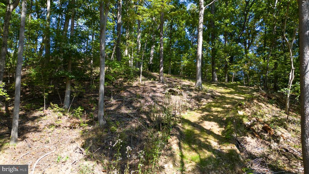 1242 N LAKESHORE DR, LOUISA, Virginia 23093, ,Land,1242 N LAKESHORE DR,VALA2009846 MLS # VALA2009846