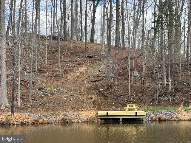 1242 N LAKESHORE DR, LOUISA, Virginia 23093, ,Land,1242 N LAKESHORE DR,VALA2009846 MLS # VALA2009846