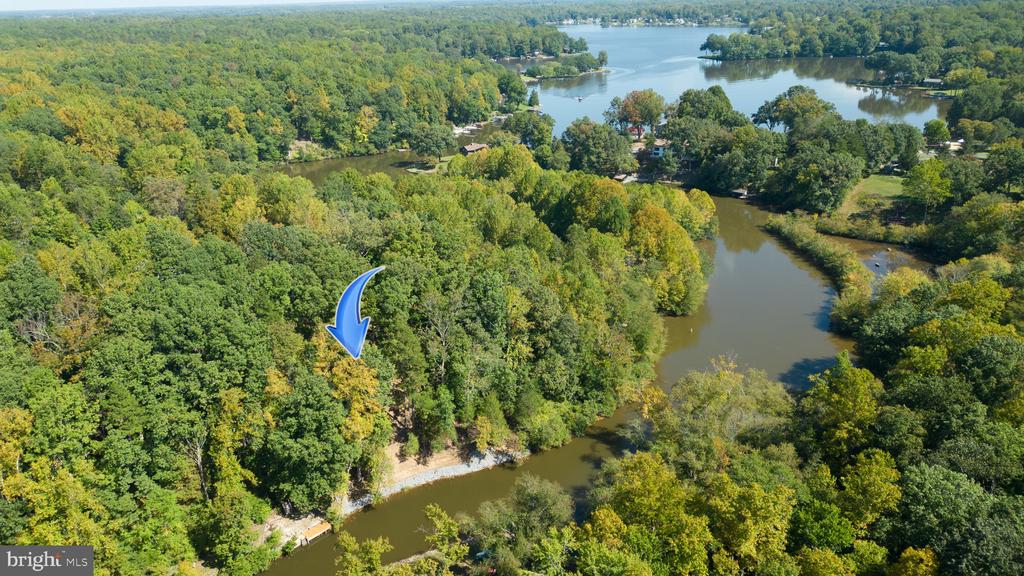 1242 N LAKESHORE DR, LOUISA, Virginia 23093, ,Land,1242 N LAKESHORE DR,VALA2009846 MLS # VALA2009846
