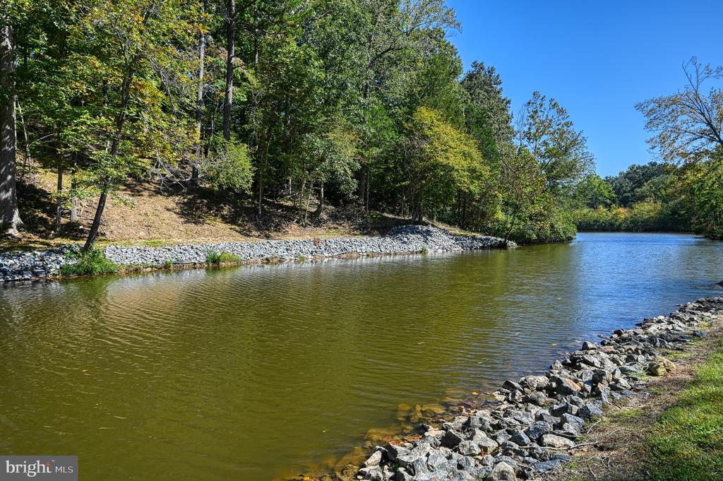 1242 N LAKESHORE DR, LOUISA, Virginia 23093, ,Land,1242 N LAKESHORE DR,VALA2009846 MLS # VALA2009846
