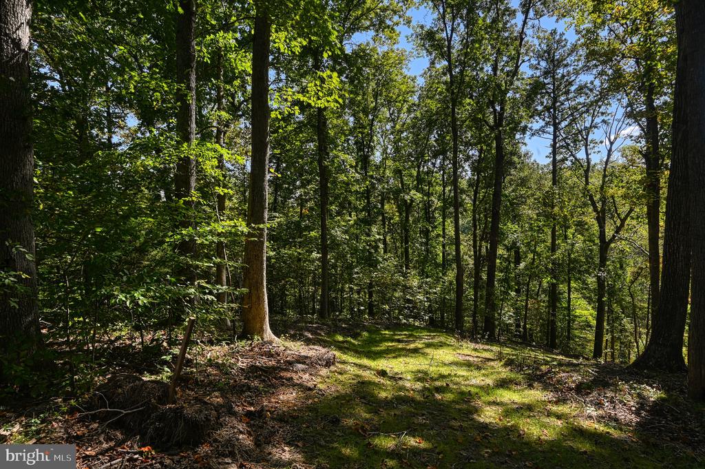 1242 N LAKESHORE DR, LOUISA, Virginia 23093, ,Land,1242 N LAKESHORE DR,VALA2009846 MLS # VALA2009846