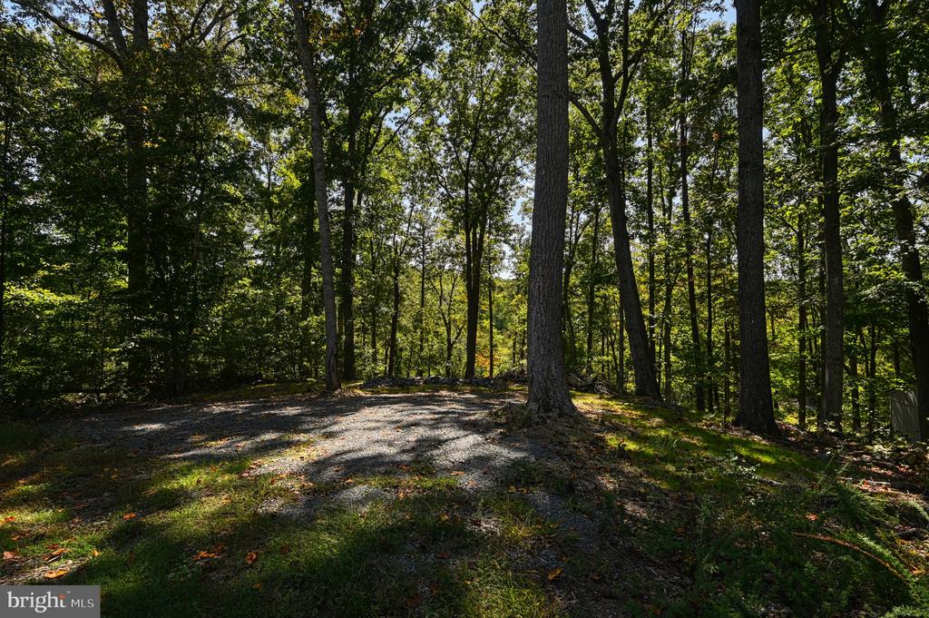 1242 N LAKESHORE DR, LOUISA, Virginia 23093, ,Land,1242 N LAKESHORE DR,VALA2009846 MLS # VALA2009846