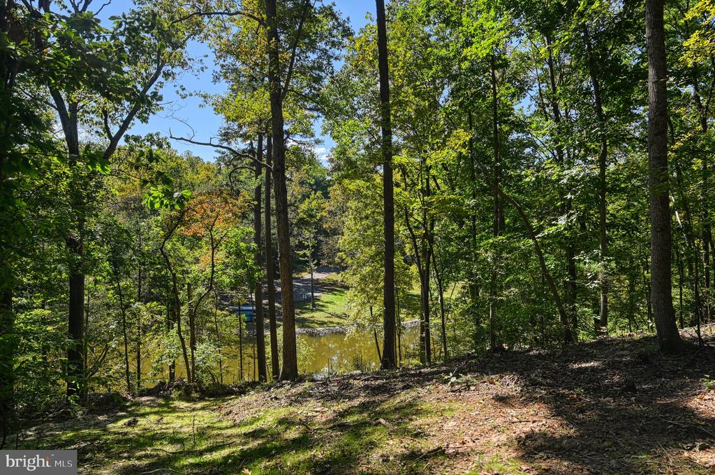 1242 N LAKESHORE DR, LOUISA, Virginia 23093, ,Land,1242 N LAKESHORE DR,VALA2009846 MLS # VALA2009846