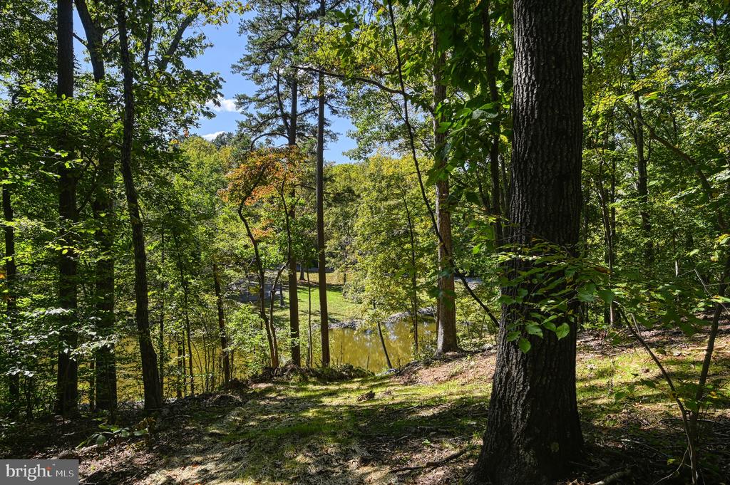 1242 N LAKESHORE DR, LOUISA, Virginia 23093, ,Land,1242 N LAKESHORE DR,VALA2009846 MLS # VALA2009846