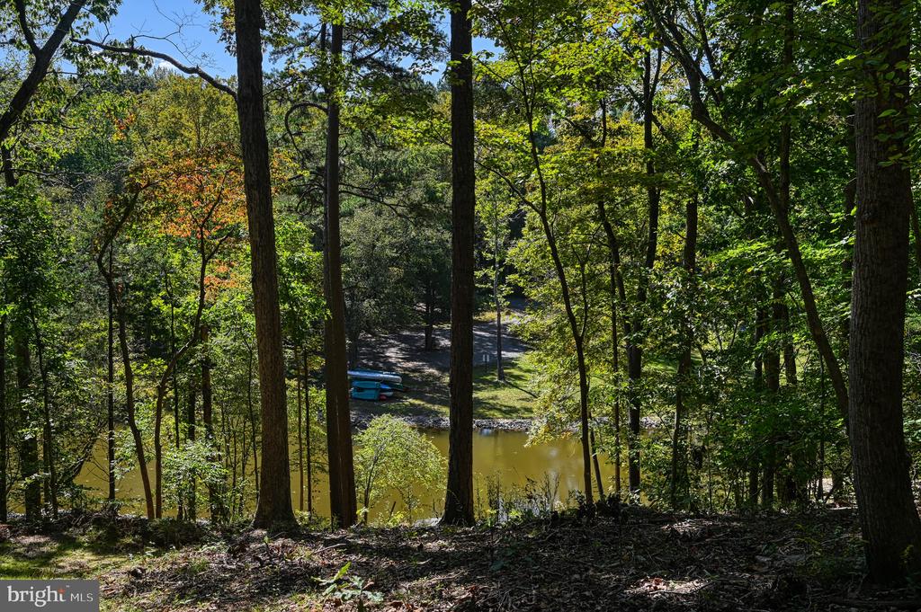 1242 N LAKESHORE DR, LOUISA, Virginia 23093, ,Land,1242 N LAKESHORE DR,VALA2009846 MLS # VALA2009846
