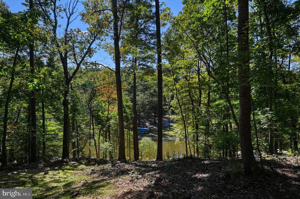 1242 N LAKESHORE DR, LOUISA, Virginia 23093, ,Land,1242 N LAKESHORE DR,VALA2009846 MLS # VALA2009846