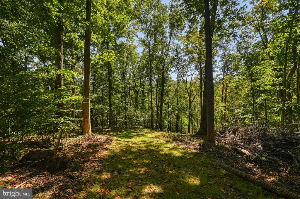 1242 N LAKESHORE DR, LOUISA, Virginia 23093, ,Land,1242 N LAKESHORE DR,VALA2009846 MLS # VALA2009846