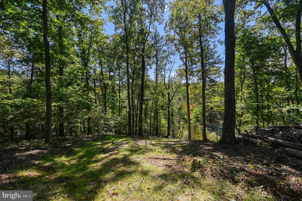 1242 N LAKESHORE DR, LOUISA, Virginia 23093, ,Land,1242 N LAKESHORE DR,VALA2009846 MLS # VALA2009846