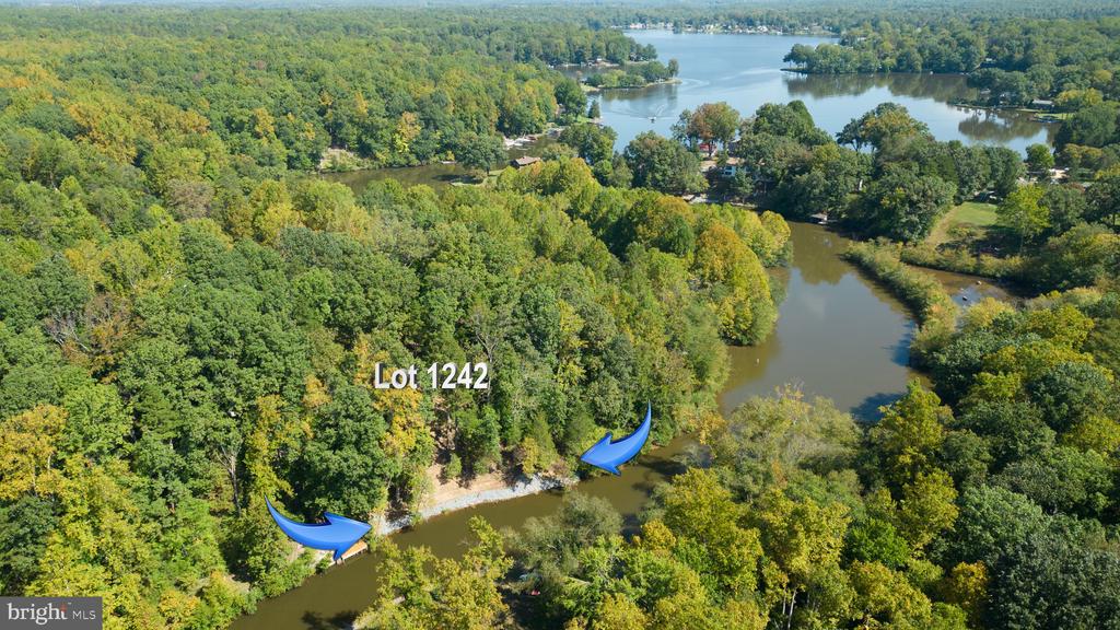 1242 N LAKESHORE DR, LOUISA, Virginia 23093, ,Land,1242 N LAKESHORE DR,VALA2009846 MLS # VALA2009846