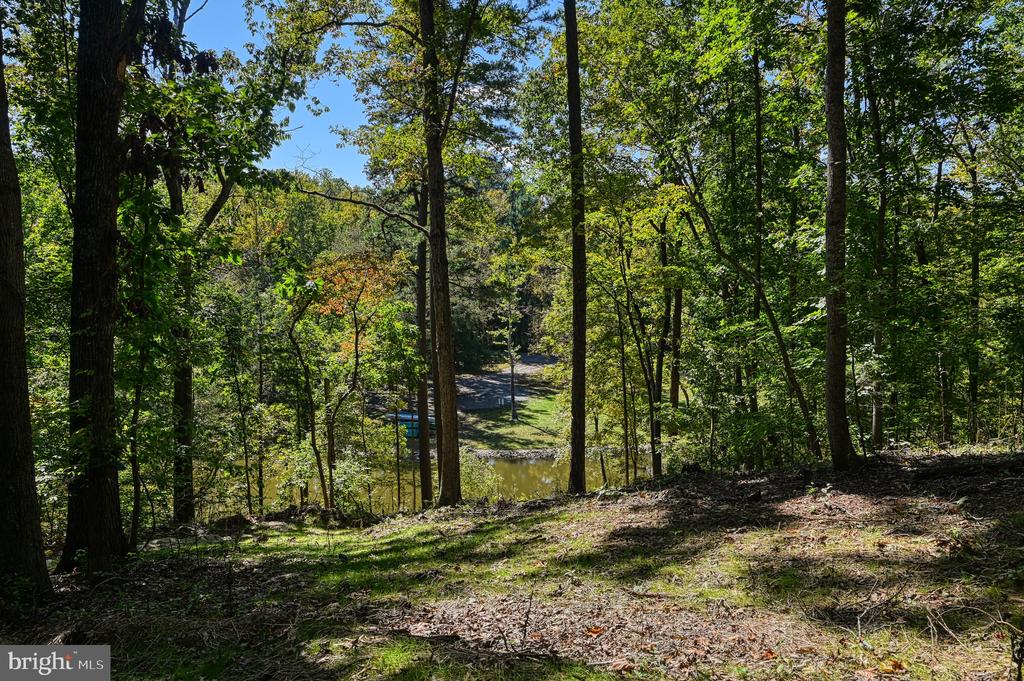 1242 N LAKESHORE DR, LOUISA, Virginia 23093, ,Land,1242 N LAKESHORE DR,VALA2009846 MLS # VALA2009846