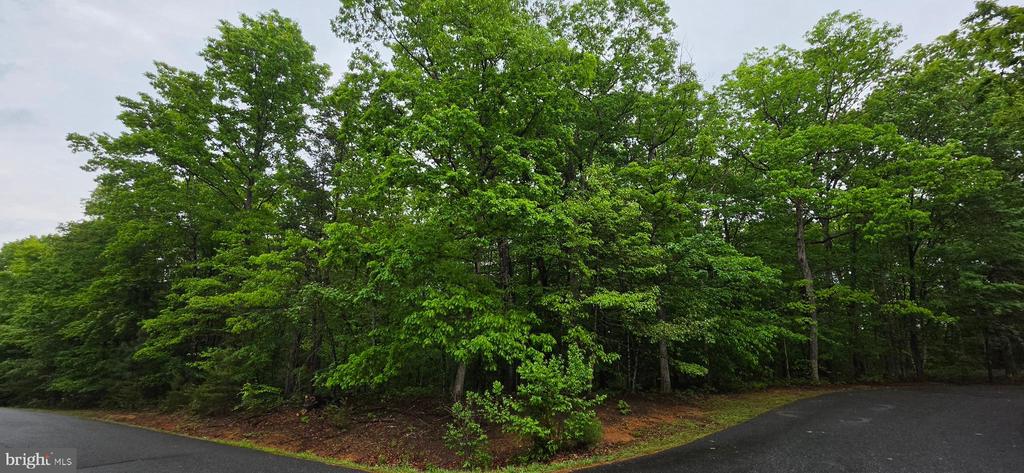 GLEN EAGLES, GORDONSVILLE, Virginia 22942, ,Land,GLEN EAGLES,VALA2009722 MLS # VALA2009722