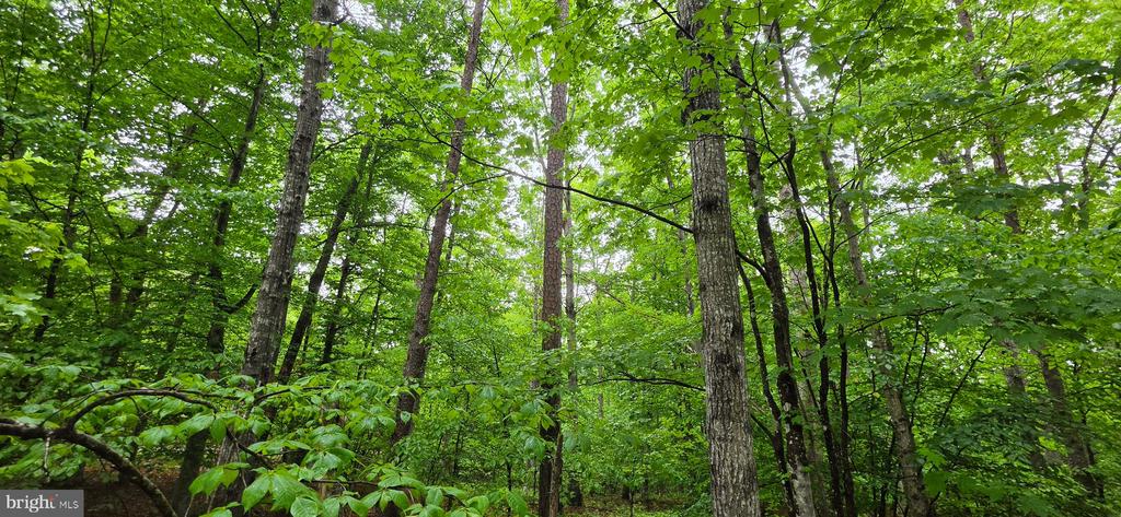 GLEN EAGLES, GORDONSVILLE, Virginia 22942, ,Land,GLEN EAGLES,VALA2009722 MLS # VALA2009722