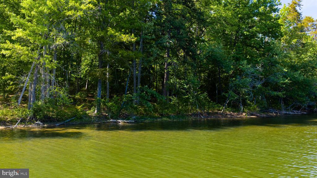 0 MINOR RD, BUMPASS, Virginia 23024, ,Land,0 MINOR RD,VASP2041676 MLS # VASP2041676