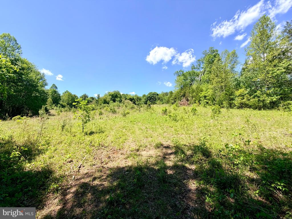AUTUMN RIDGE LN, UNIONVILLE, Virginia 22567, 3 Bedrooms Bedrooms, ,2 BathroomsBathrooms,Residential,AUTUMN RIDGE LN,VAOR2014120 MLS # VAOR2014120