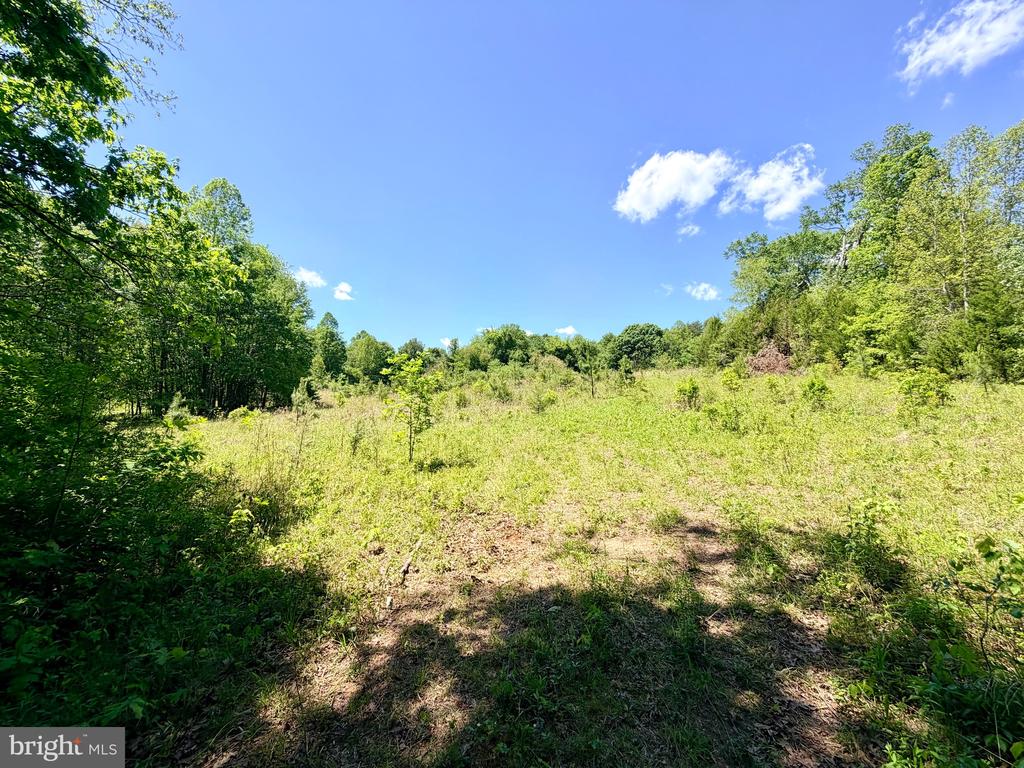 AUTUMN RIDGE LN, UNIONVILLE, Virginia 22567, 3 Bedrooms Bedrooms, ,2 BathroomsBathrooms,Residential,AUTUMN RIDGE LN,VAOR2014120 MLS # VAOR2014120