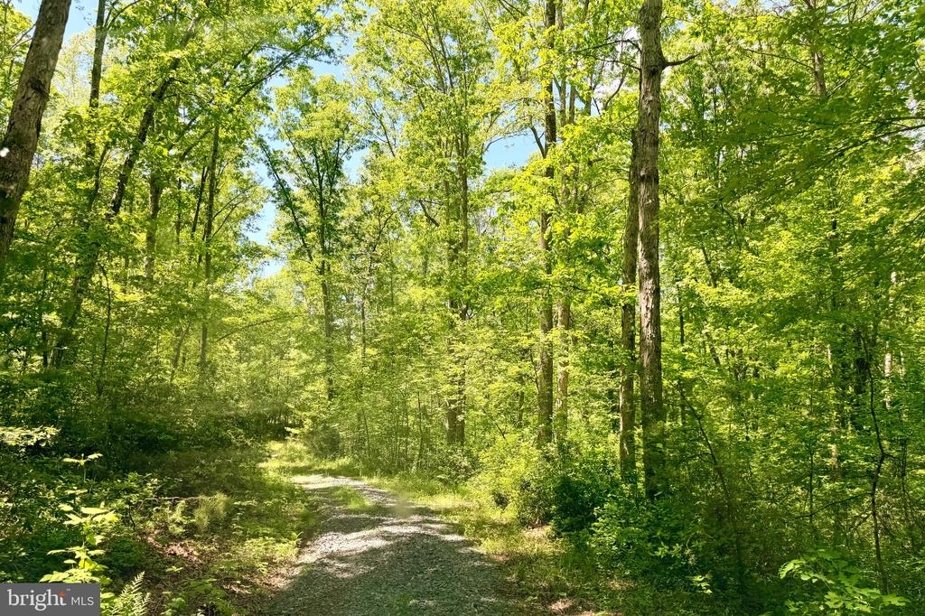 AUTUMN RIDGE LN, UNIONVILLE, Virginia 22567, 3 Bedrooms Bedrooms, ,2 BathroomsBathrooms,Residential,AUTUMN RIDGE LN,VAOR2014120 MLS # VAOR2014120