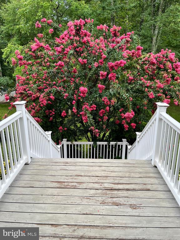 10409 LEE'S MILL RD, WARRENTON, Virginia 20186, 4 Bedrooms Bedrooms, ,6 BathroomsBathrooms,Residential,10409 LEE'S MILL RD,VAFQ2021966 MLS # VAFQ2021966
