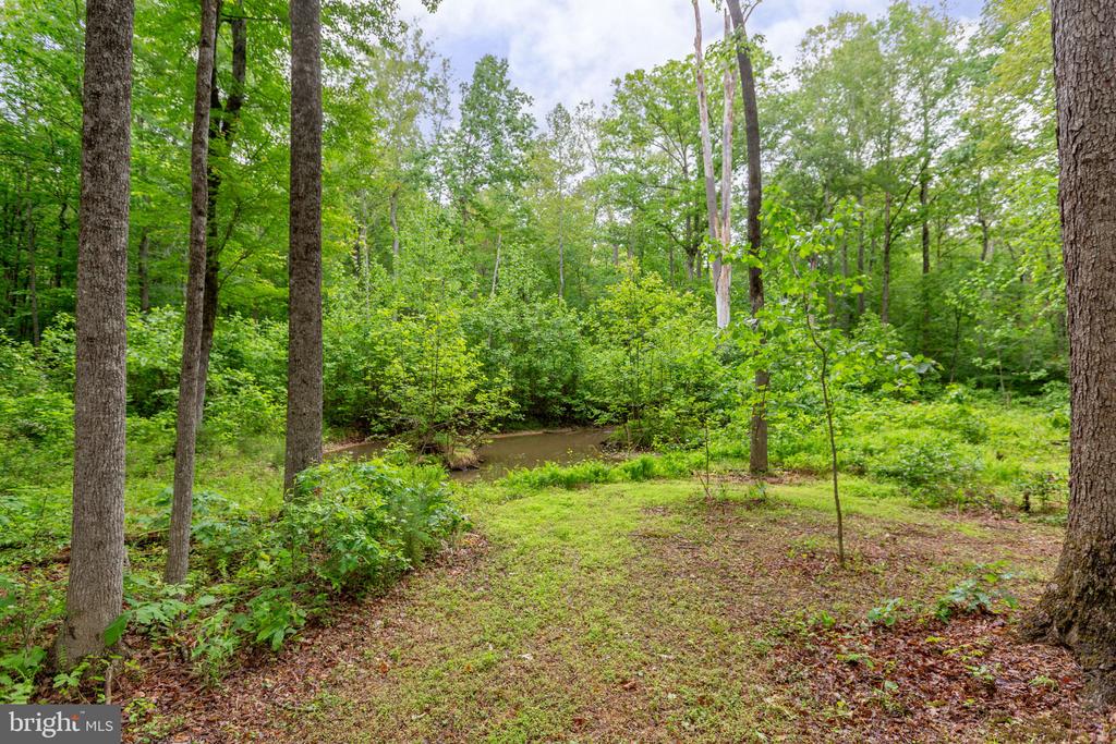 4281 BEAR BUG LN, BEALETON, Virginia 22712, 3 Bedrooms Bedrooms, ,2 BathroomsBathrooms,Residential,4281 BEAR BUG LN,VAFQ2021838 MLS # VAFQ2021838