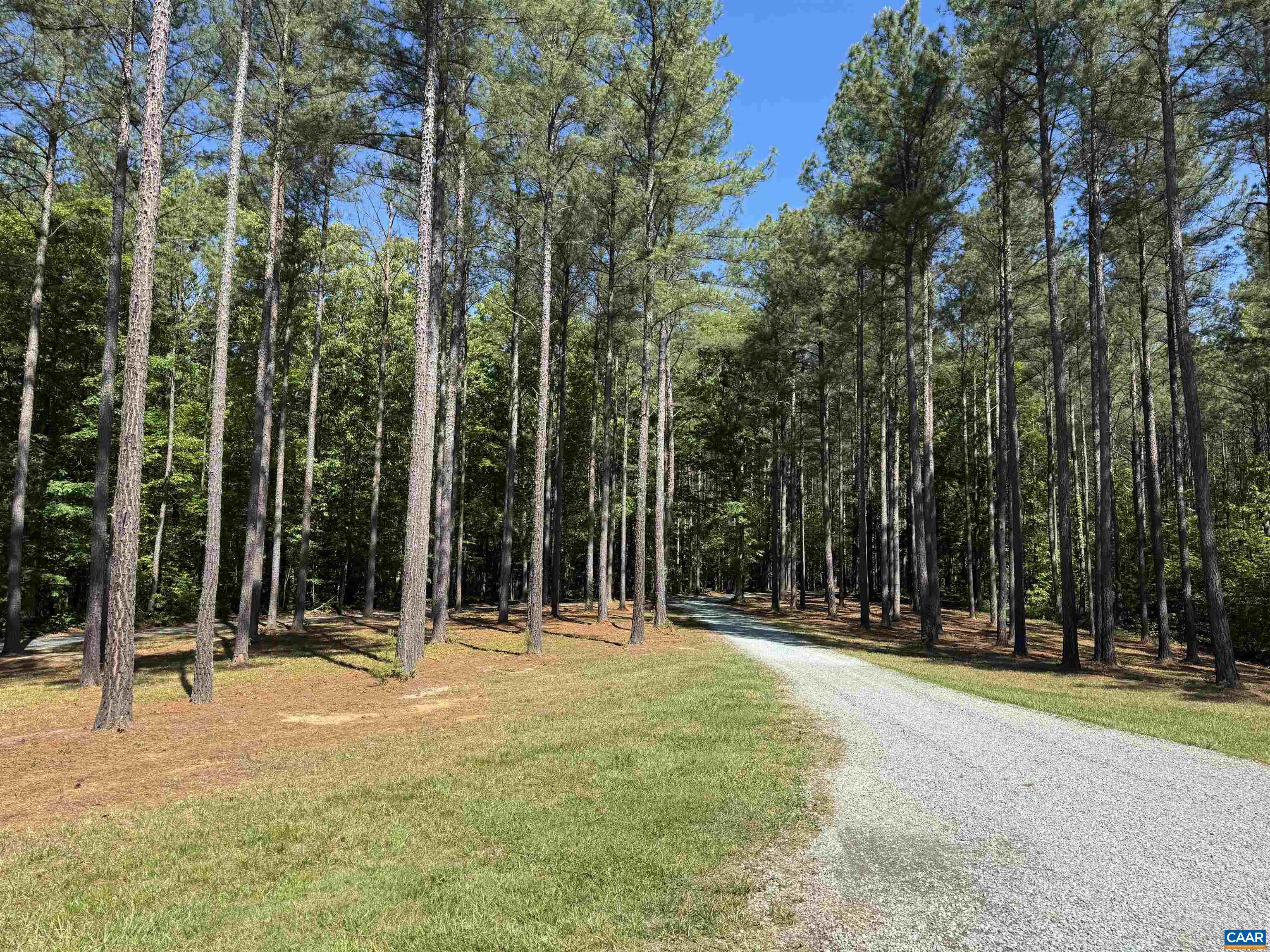 1121 HARDWARE RD, SCOTTSVILLE, Virginia 24590, 3 Bedrooms Bedrooms, ,2 BathroomsBathrooms,Residential,1121 HARDWARE RD,676810 MLS # 676810