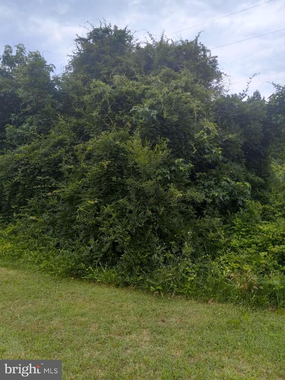 0 LEWIS ESTATES LANE - LOT 5, SPOTSYLVANIA, Virginia 22551, ,Land,0 LEWIS ESTATES LANE - LOT 5,VASP2017402 MLS # VASP2017402