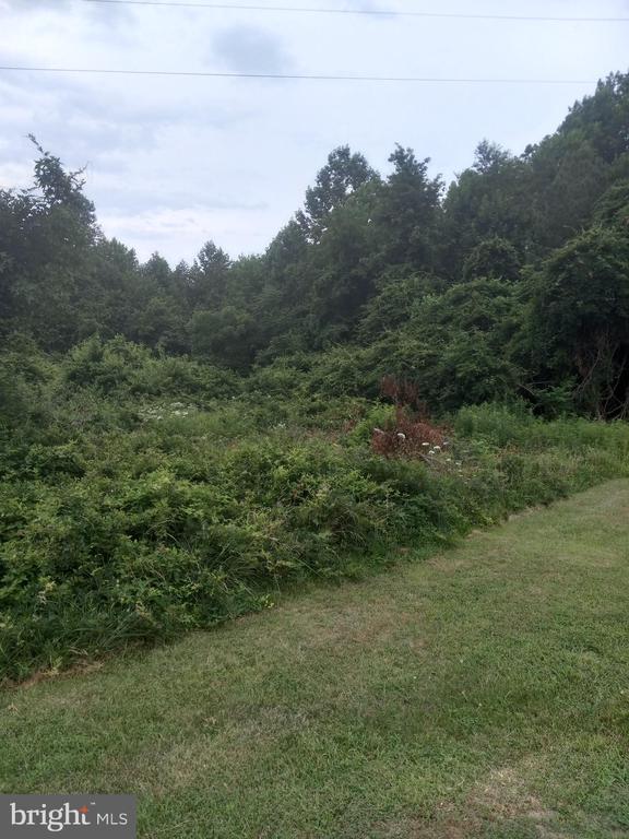 0 LEWIS ESTATES LANE - LOT 5, SPOTSYLVANIA, Virginia 22551, ,Land,0 LEWIS ESTATES LANE - LOT 5,VASP2017402 MLS # VASP2017402