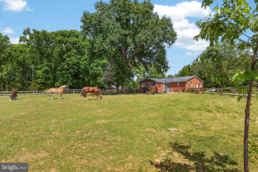 13656 POST OAK RD, SPOTSYLVANIA, Virginia 22551, 3 Bedrooms Bedrooms, ,2 BathroomsBathrooms,Residential,13656 POST OAK RD,VASP2041434 MLS # VASP2041434