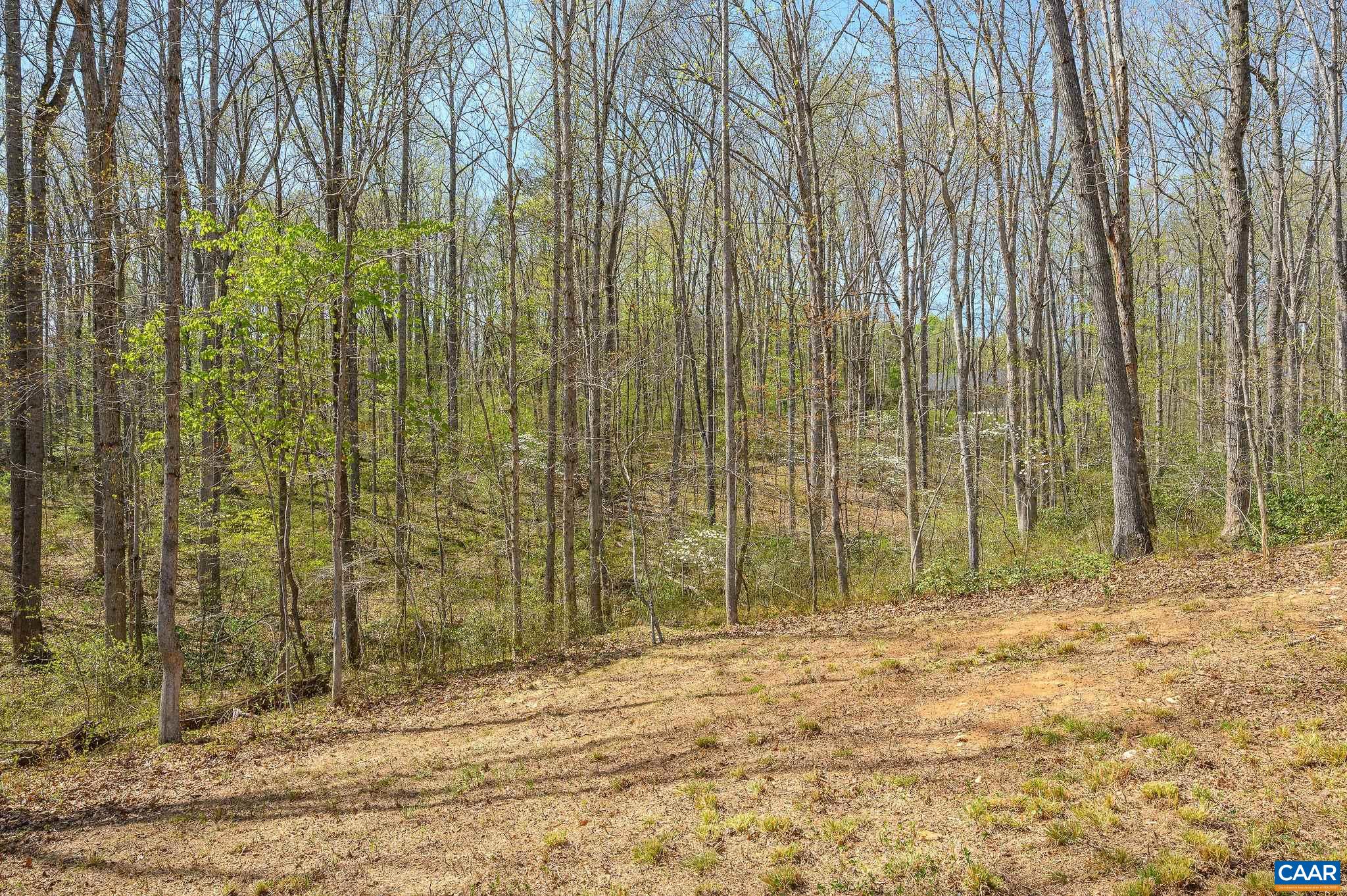266 SWIFT RUN RD, RUCKERSVILLE, Virginia 22968, 3 Bedrooms Bedrooms, ,2 BathroomsBathrooms,Residential,266 SWIFT RUN RD,676802 MLS # 676802 266 SWIFT RUN RD, RUCKERSVILLE, Virginia 22968, 3 Bedrooms Bedrooms, ,2 BathroomsBathrooms,Residential,266 SWIFT RUN RD,676802 MLS # 676802
