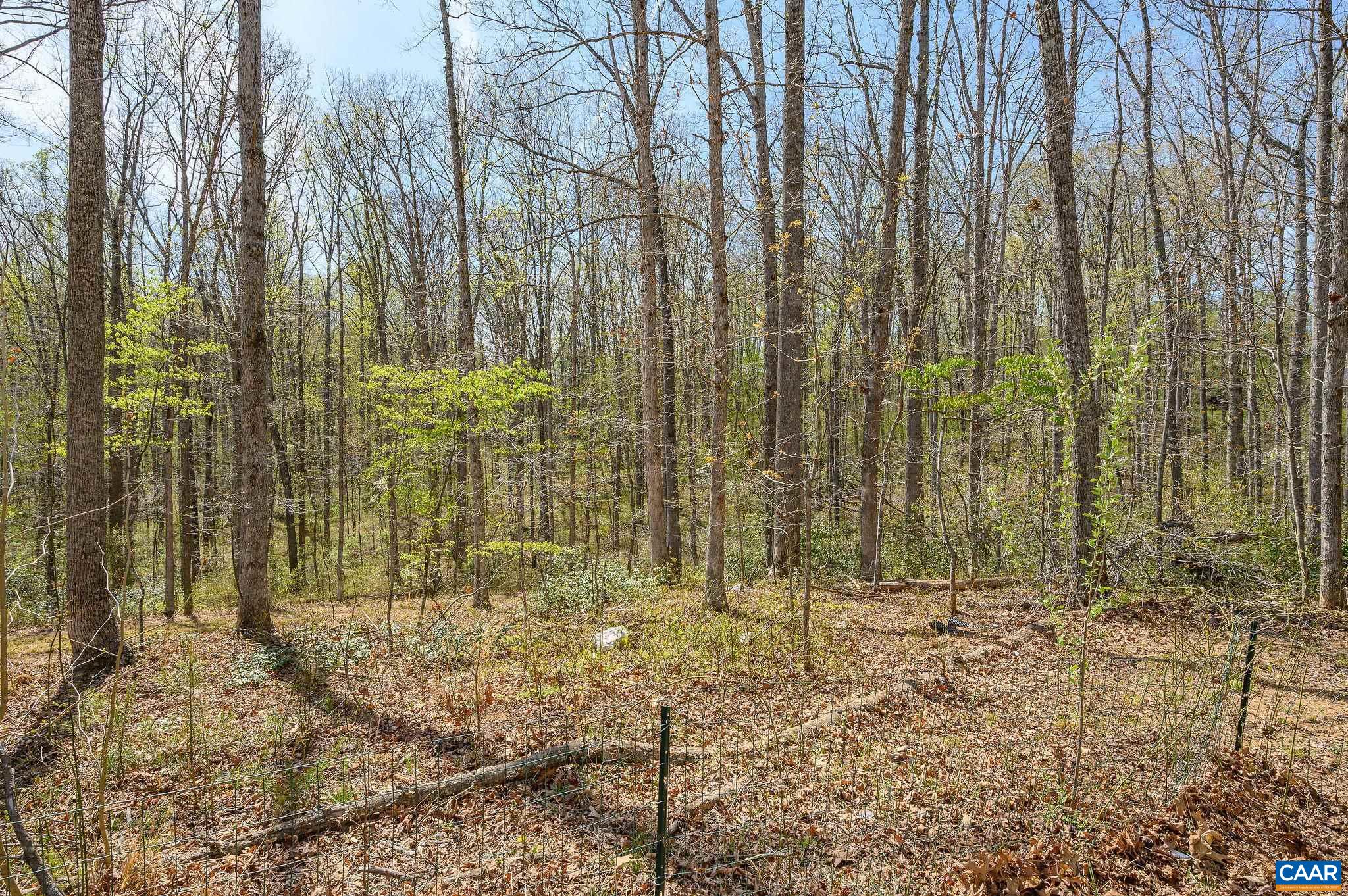266 SWIFT RUN RD, RUCKERSVILLE, Virginia 22968, 3 Bedrooms Bedrooms, ,2 BathroomsBathrooms,Residential,266 SWIFT RUN RD,676802 MLS # 676802 266 SWIFT RUN RD, RUCKERSVILLE, Virginia 22968, 3 Bedrooms Bedrooms, ,2 BathroomsBathrooms,Residential,266 SWIFT RUN RD,676802 MLS # 676802