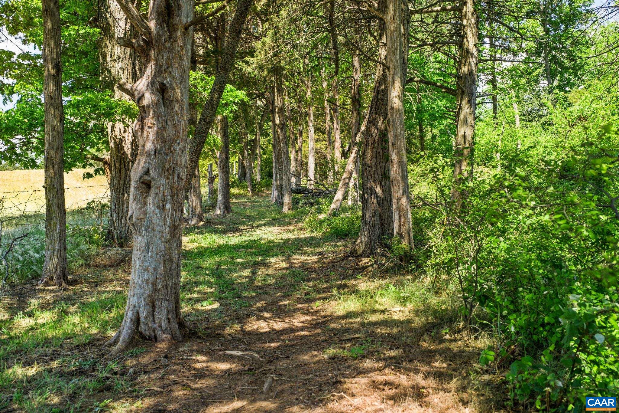 This area is within a 20' easement along the side of the property for the walking trail.