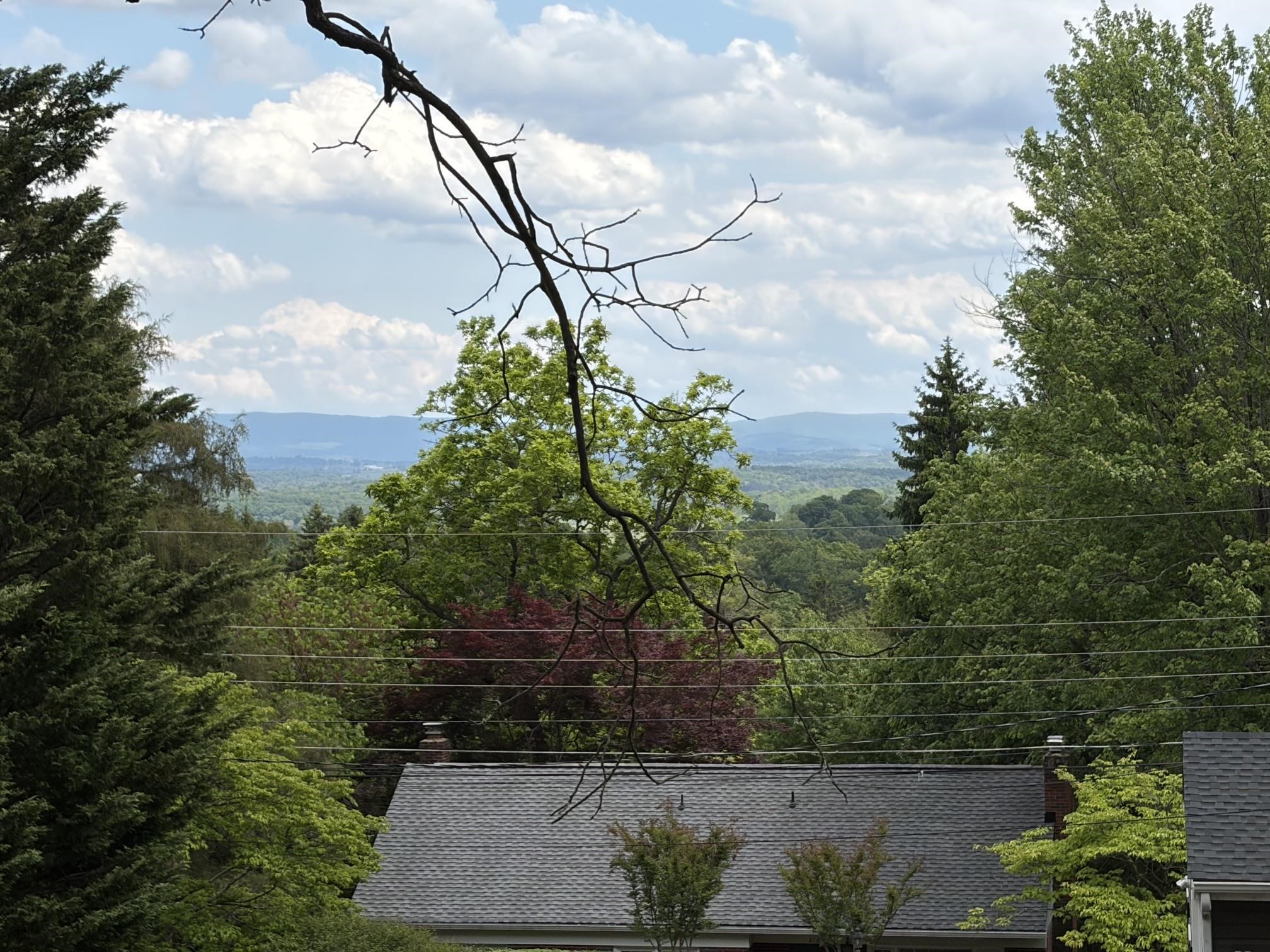212 SKYLAND DR, STAUNTON, Virginia 24401, 3 Bedrooms Bedrooms, ,2 BathroomsBathrooms,Residential,212 SKYLAND DR,676969 MLS # 676969
